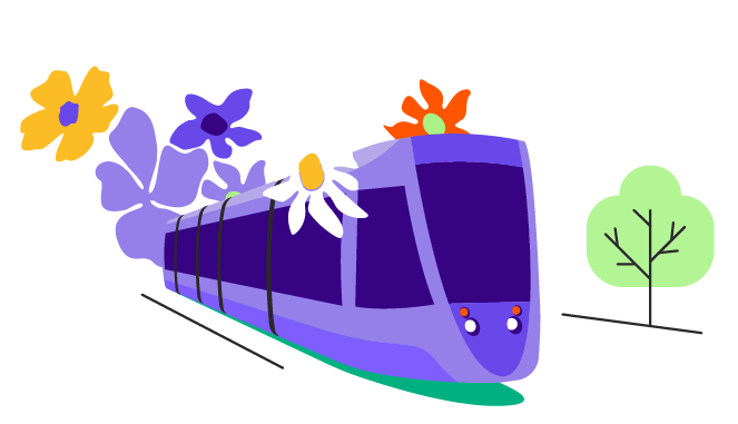transport